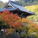 温泉寺山門と紅葉