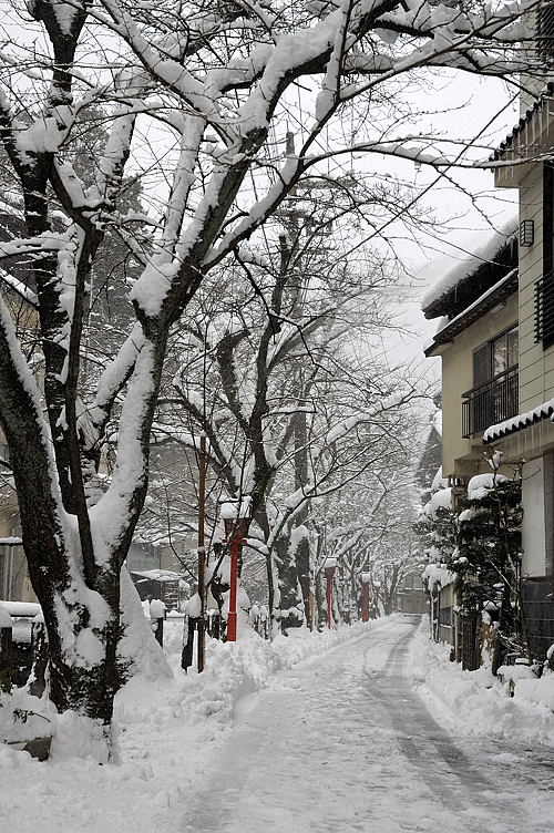 http://photo.kinosaki2.net/snow/874.html