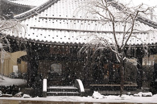http://photo.kinosaki2.net/wp-content/uploads/snow_246.jpg