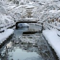 弁天橋からの雪景色